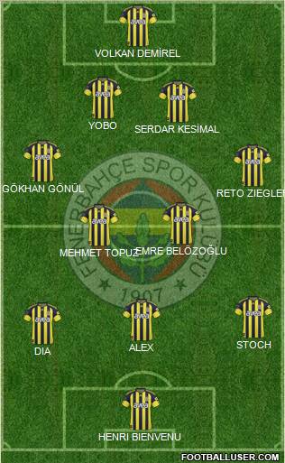 Fenerbahçe SK Formation 2011