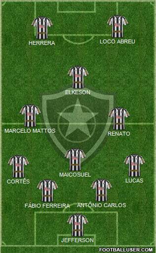 Botafogo FR Formation 2011