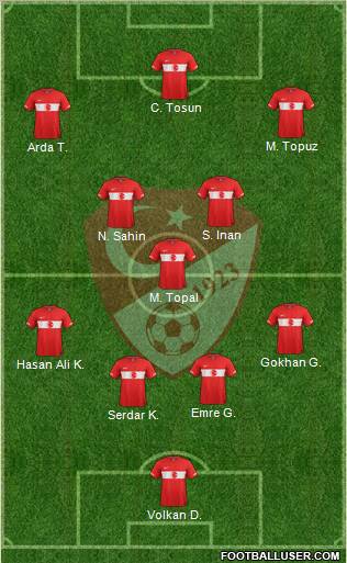 Turkey Formation 2011