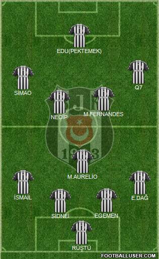 Besiktas JK Formation 2011