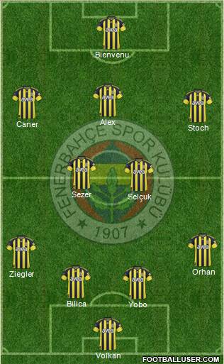 Fenerbahçe SK Formation 2011