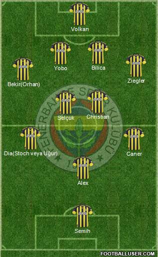 Fenerbahçe SK Formation 2011