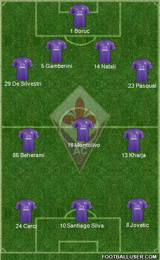 Fiorentina Formation 2011
