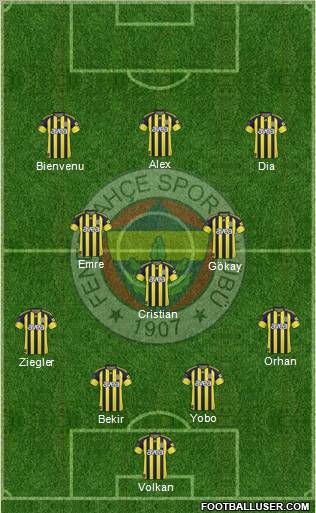 Fenerbahçe SK Formation 2011