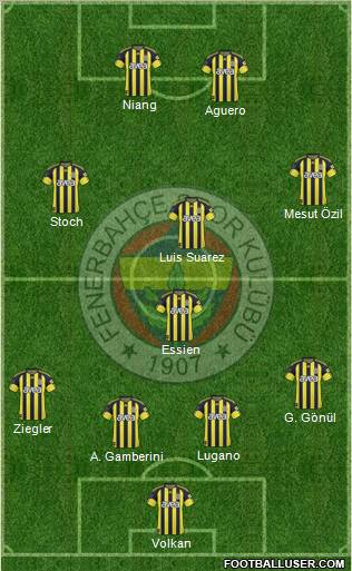Fenerbahçe SK Formation 2011