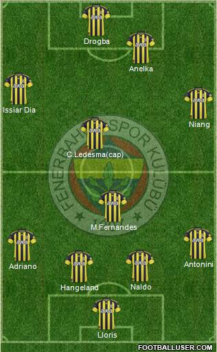 Fenerbahçe SK Formation 2011