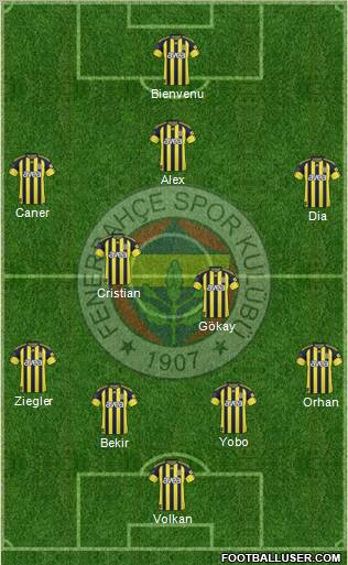 Fenerbahçe SK Formation 2011