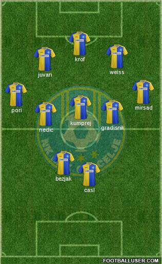 NK Celje Formation 2011