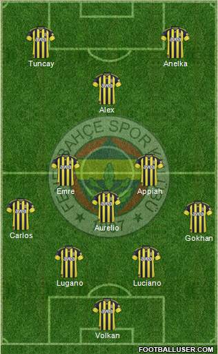 Fenerbahçe SK Formation 2011