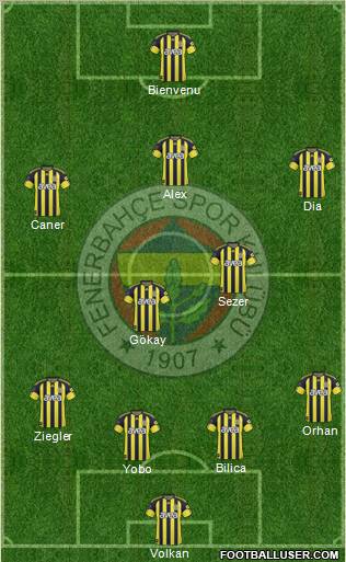 Fenerbahçe SK Formation 2011