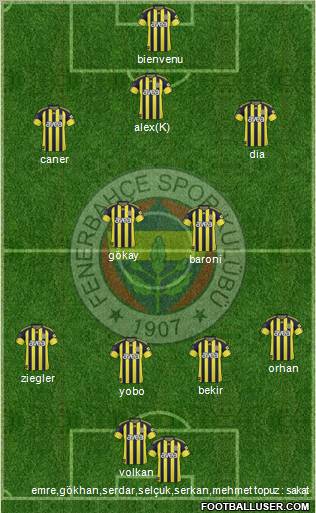 Fenerbahçe SK Formation 2011