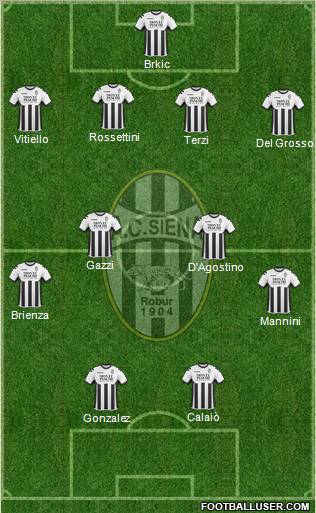 Siena Formation 2011