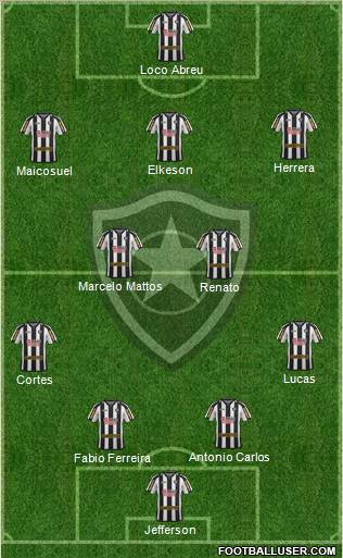 Botafogo FR Formation 2011