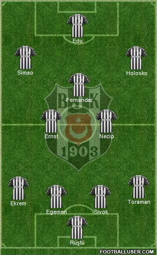 Besiktas JK Formation 2011