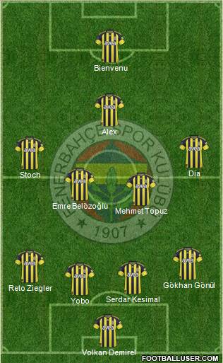 Fenerbahçe SK Formation 2011