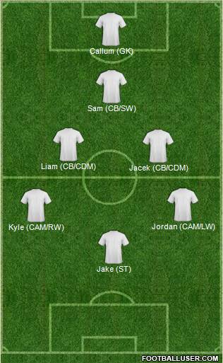 World Cup 2010 Team Formation 2011