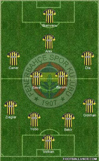 Fenerbahçe SK Formation 2011