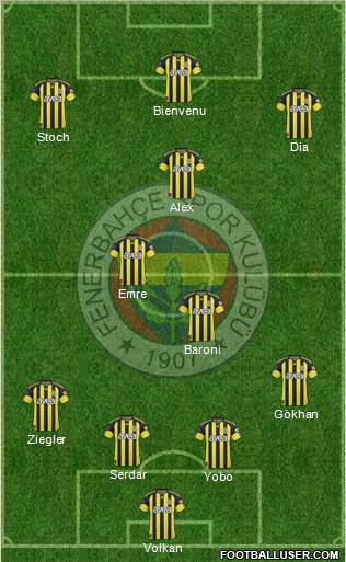 Fenerbahçe SK Formation 2011