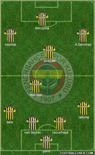 Fenerbahçe SK Formation 2011