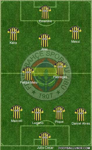 Fenerbahçe SK Formation 2011