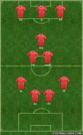 Kom-Minyor (Berkovitsa) Formation 2011