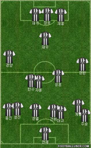 Newcastle United Formation 2011