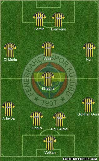 Fenerbahçe SK Formation 2011