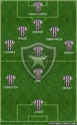 Botafogo FR Formation 2011