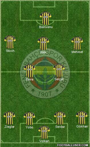 Fenerbahçe SK Formation 2011