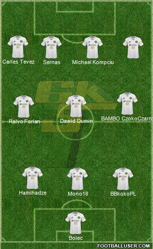Gornik Leczna Formation 2011