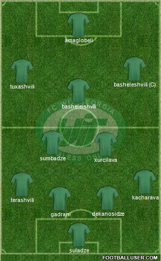 WIT-Georgia Tbilisi Formation 2011