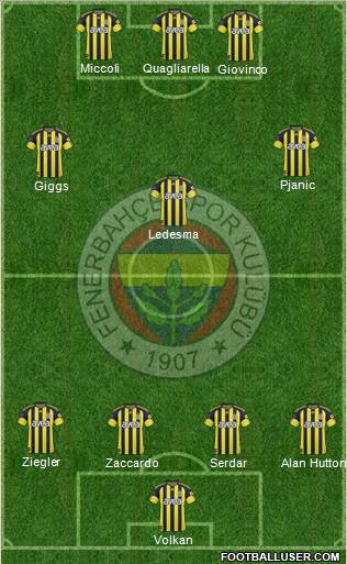 Fenerbahçe SK Formation 2011