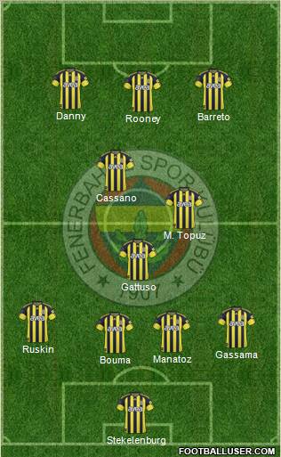 Fenerbahçe SK Formation 2011