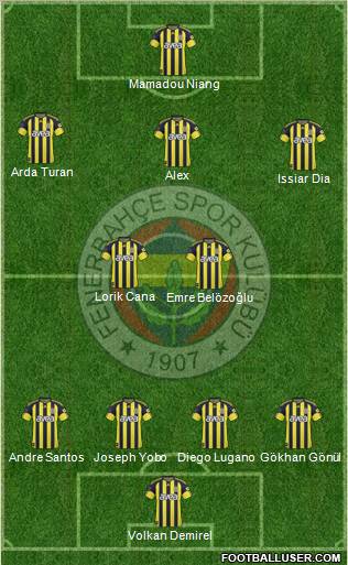 Fenerbahçe SK Formation 2011
