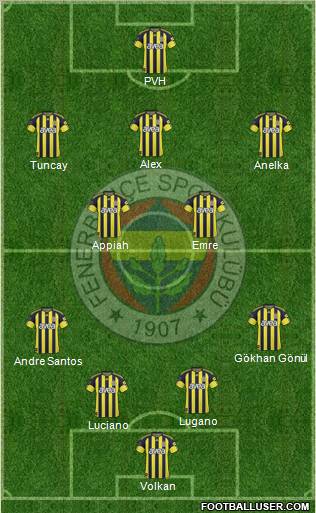 Fenerbahçe SK Formation 2011