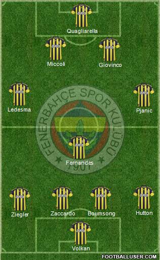 Fenerbahçe SK Formation 2011
