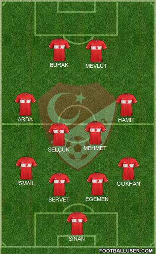 Turkey Formation 2011