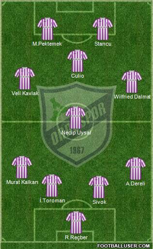 Orduspor Formation 2011