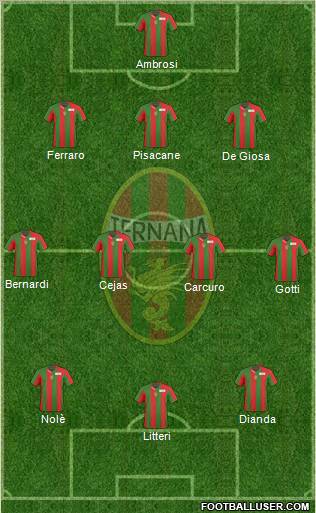 Ternana Formation 2011