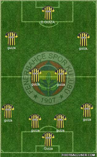 Fenerbahçe SK Formation 2011