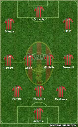 Ternana Formation 2011