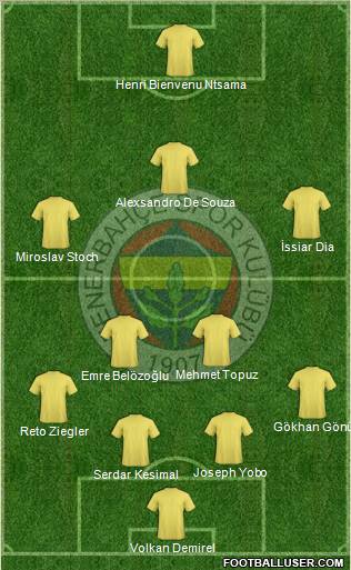 Fenerbahçe SK Formation 2011