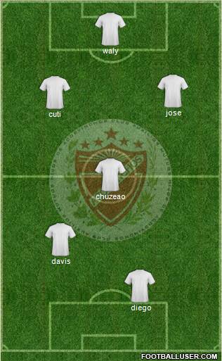 C D Hijos Mutuos de Acosvinchos Formation 2011