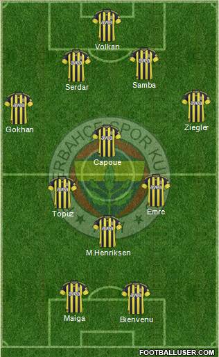 Fenerbahçe SK Formation 2011