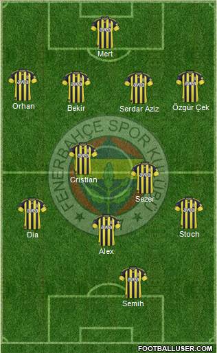 Fenerbahçe SK Formation 2011