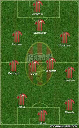 Ternana Formation 2011