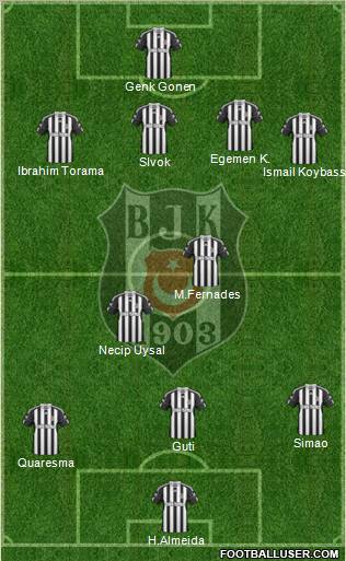 Besiktas JK Formation 2011