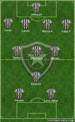 Botafogo FR Formation 2011