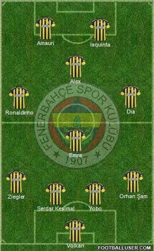 Fenerbahçe SK Formation 2011
