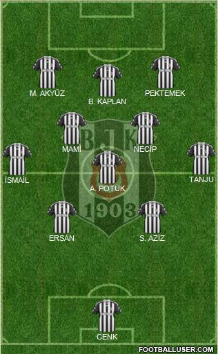 Besiktas JK Formation 2011
